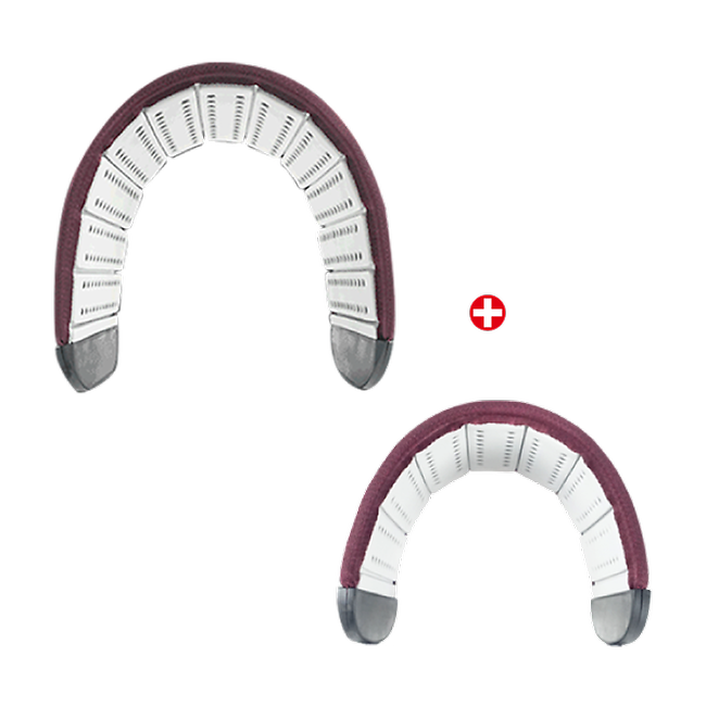 라이프빔 대형1 + 미니1 (베니라이트)